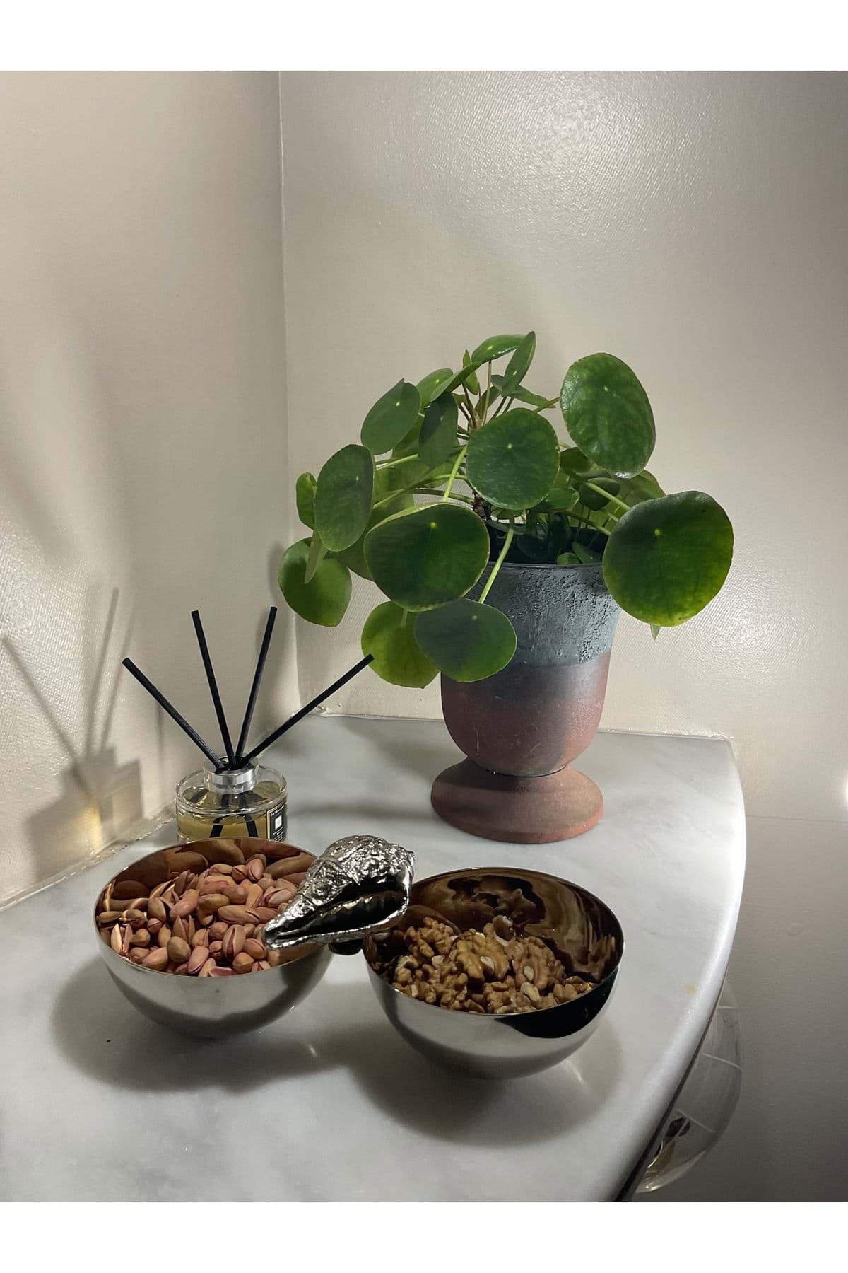 Dekoratif 2li Midye Kabuklu Çerezlik resmi